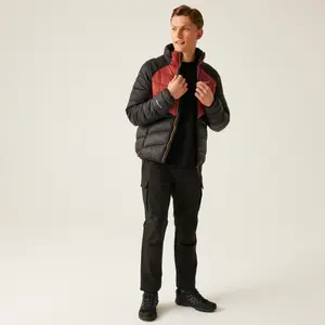 Doudoune Regatta Dalent image-3