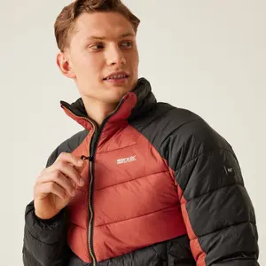 Doudoune Regatta Dalent image-6