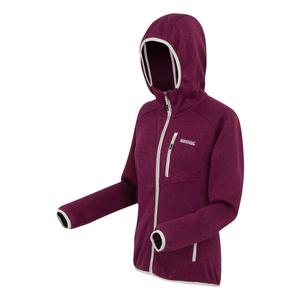 Sudadera con capucha Regatta Newhill II image-1