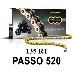 Motorcycle chain Regina 135rt image-0