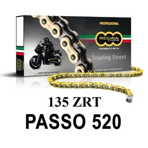 Motorcycle chain Regina 135zrt image-0