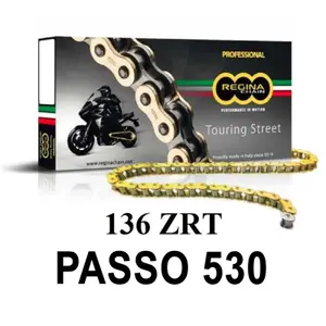 Motorfiets ketting Regina 136zrt
