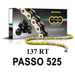 Motorcycle chain Regina 137rt image-0