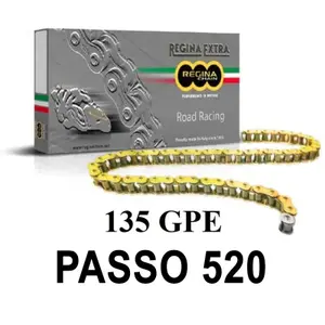 Motorfiets ketting Regina 135gpe