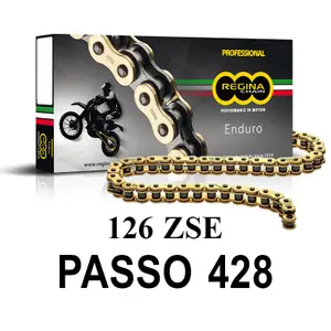 Motorfiets ketting Regina 126zse