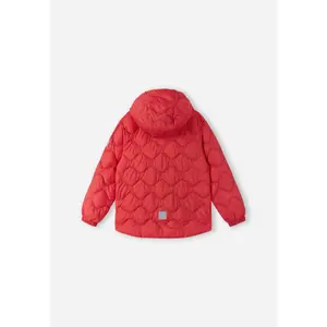 Children's jacket Reima Fossila image-1
