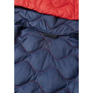 Children's jacket Reima Fossila image-4