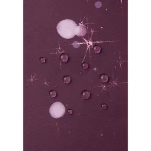 Veste de ski bébé fille Reima Taho image-5