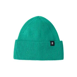 Children's hat Reima Reissari image-1