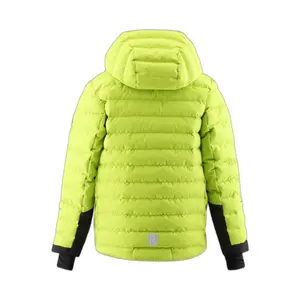 Child winter jacket Reima Alkhornet image-0