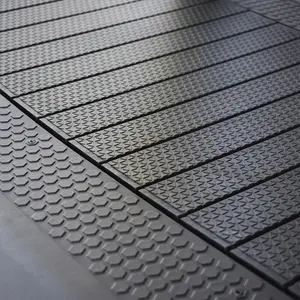 Cinta de correr ReNegaDe Evocardioiit Runner image-3