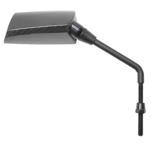 Left mirror Replay F1 Evo image-0