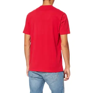 Rundhals-T-Shirt aus reiner Baumwolle Replay image-2