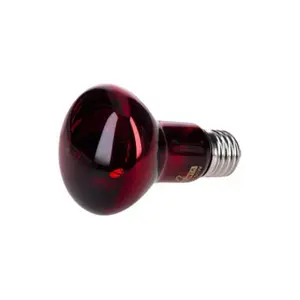 Bol Reptiles Planet Infrared 25 W image-2