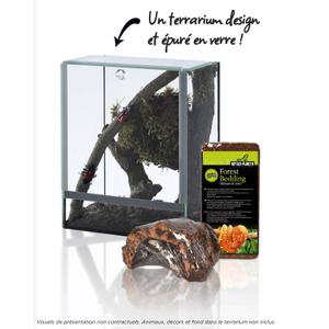 Accessoire pour aquarium Reptiles Planet Terra