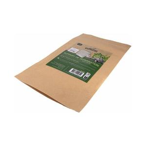 Feutrines de germination Reptiles Planet (x5) image-2