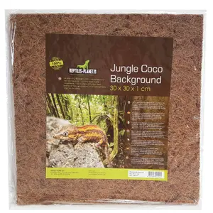 Terrarium accessories Reptiles Planet Jungle Coco Background image-0