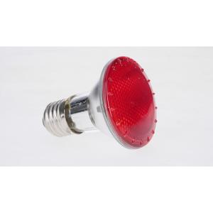 Infrarotlampe für Terrarien Reptiles Planet Plus Halogen image-4