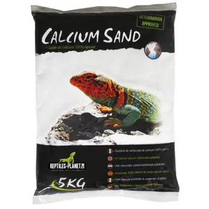 Calcium sand for reptiles Reptiles Planet Artic image-1
