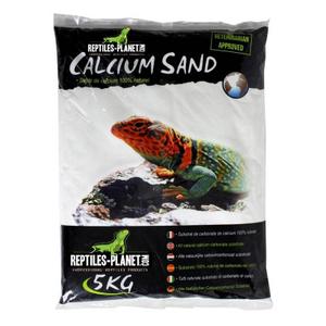 Kalziumsand für Reptilien Reptiles Planet Sechura image-1