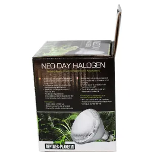 Reflector Reptiles Planet Neo Day Halogen image-4