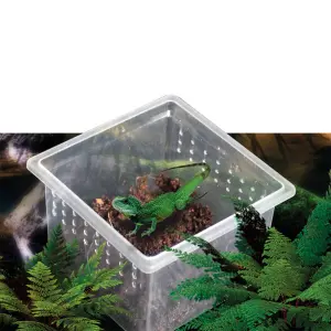 Caja de transporte para reptiles Reptiles Planet image-2