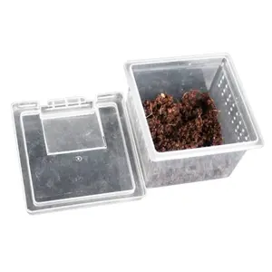 Caja de transporte para reptiles Reptiles Planet image-3