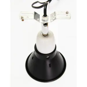 Lamp holder Reptiles Planet Elegance Socket image-1