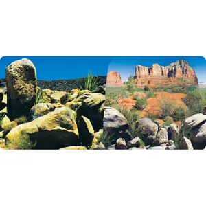 Poster deserto 2 faces 1 rolo de 15 metros altura 30 cm Reptiles Planet Desert Terrarium image-0