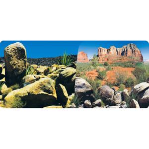 Poster 2 sidor 1 rulle 15 meter höjd 50 cm Reptiles Planet Desert Terrarium