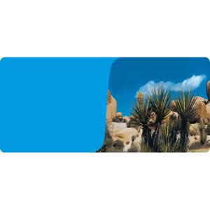 rp877820-poster-2-seitig-1-rolle-a-15-meter-reptiles-planet-desert-bleu-terrarium-blau-15-m