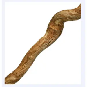 Terrarium-Zubehör Reptiles Planet Jungle Liana image-3