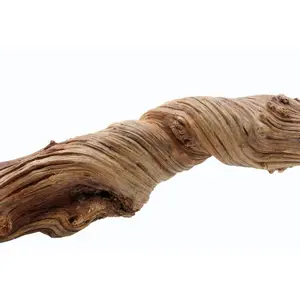 Terrarietillbehör jungle lian liten Reptiles Planet image-1