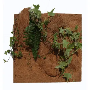 Terrarium-Zubehör Reptiles Planet Planting Background image-1