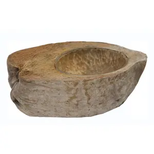 Coconut bowl Reptiles Planet image-0