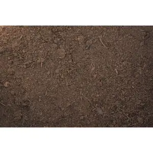 Terrarium accessory forest bedding Reptiles Planet image-2