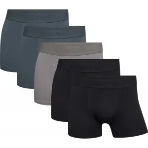 Cotton boxer shorts Resteröds Gunnar Coloris 32 (x5) image-1