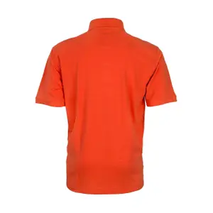 Polo Result Apex image-1
