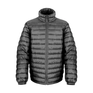Down jacket Result Ice Bird image-0
