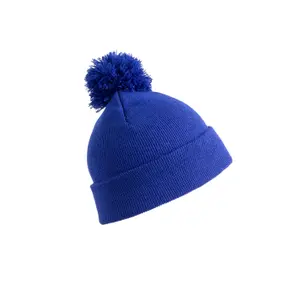 Hat Result Beanie image-0