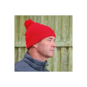 Hat Result Beanie image-1