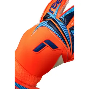 Goalkeeper gloves Reusch Attrakt Gold X Evolution Dominik Livakovic Coupe du Monde 2026 image-6