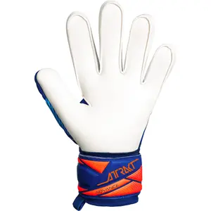 Luvas de guarda-redes Reusch Attrakt Advance image-2