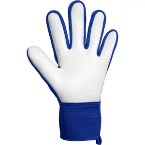 Luvas de guarda-redes Reusch Attrakt Starter Solid image-3