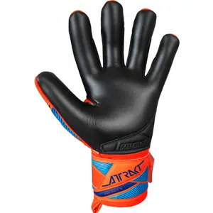 Torwarthandschuhe Reusch Attrakt Infinity Evolution NC image-1
