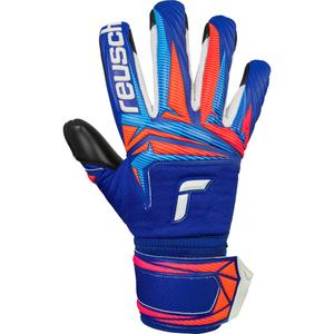 Goalkeeper gloves Reusch Attrakt Infinity Evolution NC image-1