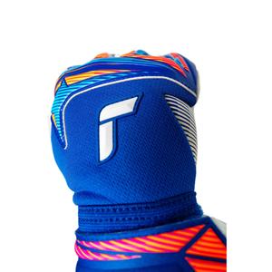 Torwarthandschuhe Reusch Attrakt Gold X NC image-4