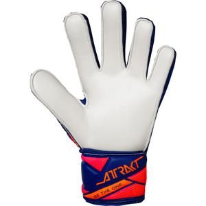 Kid's goalie gloves Reusch Attrakt Solid image-1