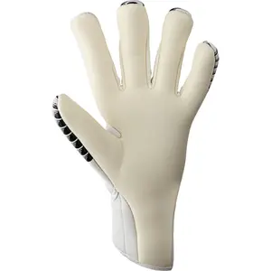 Brankářské rukavice Reusch Arrow Gold X image-1