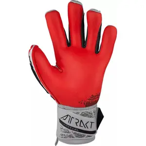 Rękawice bramkarskie Reusch Attrakt Freegel Gold X image-1